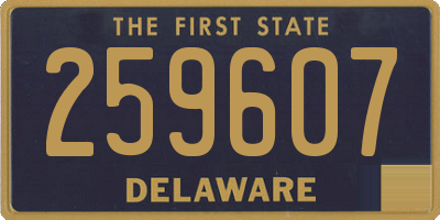 DE license plate 259607