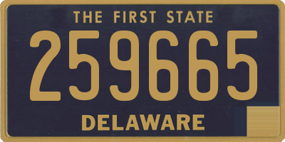 DE license plate 259665