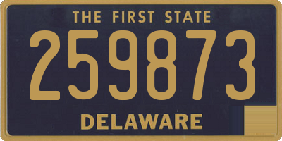 DE license plate 259873