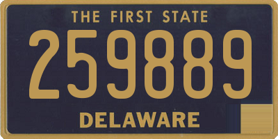 DE license plate 259889