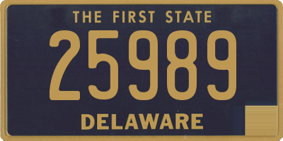 DE license plate 25989