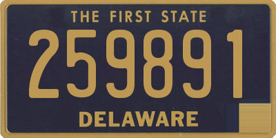 DE license plate 259891