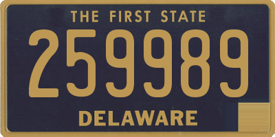 DE license plate 259989