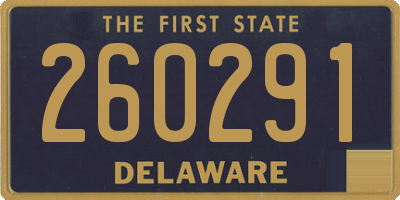 DE license plate 260291