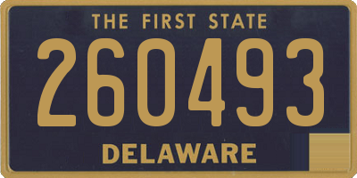 DE license plate 260493