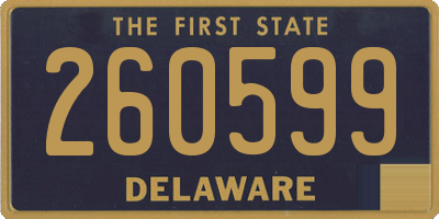 DE license plate 260599