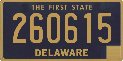DE license plate 260615