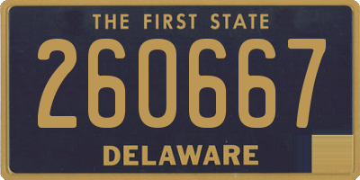 DE license plate 260667