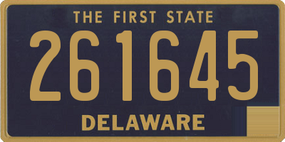 DE license plate 261645