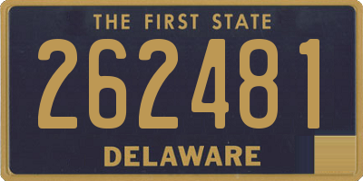 DE license plate 262481