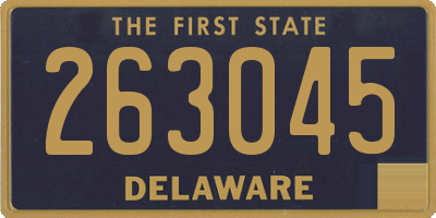DE license plate 263045