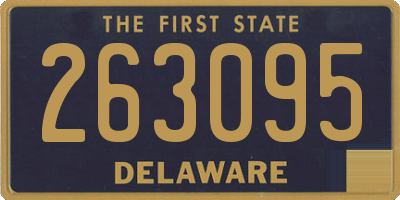 DE license plate 263095
