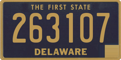DE license plate 263107