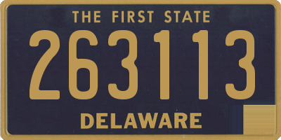 DE license plate 263113