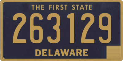 DE license plate 263129