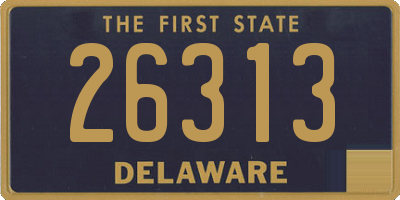 DE license plate 26313