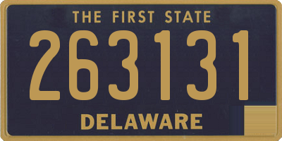 DE license plate 263131