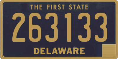 DE license plate 263133