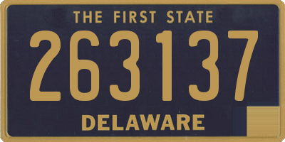 DE license plate 263137