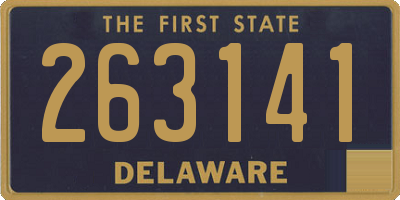 DE license plate 263141