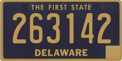DE license plate 263142