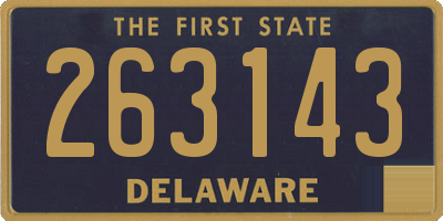 DE license plate 263143