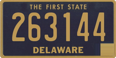 DE license plate 263144