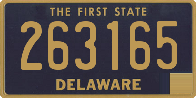 DE license plate 263165