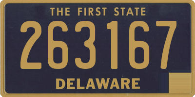 DE license plate 263167