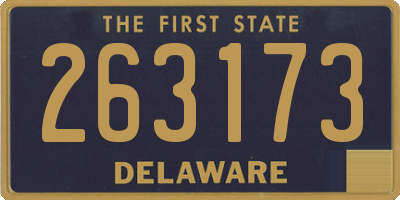 DE license plate 263173