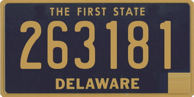 DE license plate 263181