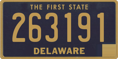 DE license plate 263191
