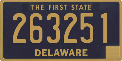 DE license plate 263251