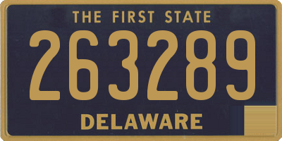 DE license plate 263289
