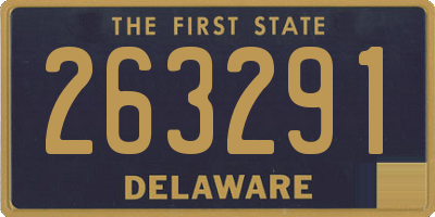 DE license plate 263291