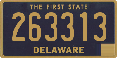 DE license plate 263313