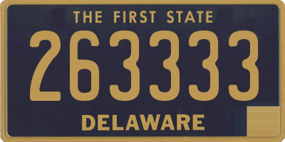 DE license plate 263333