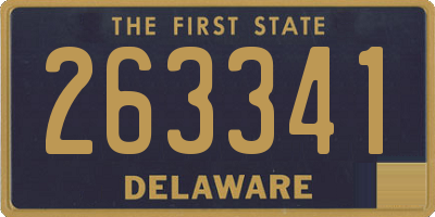 DE license plate 263341