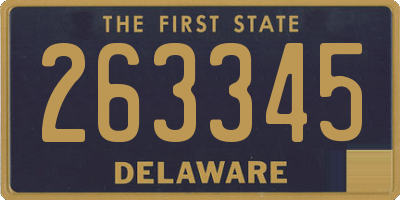 DE license plate 263345