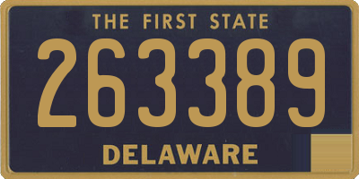 DE license plate 263389