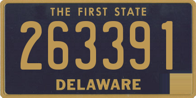 DE license plate 263391