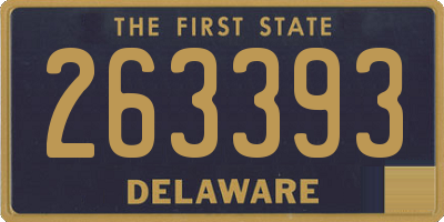 DE license plate 263393