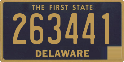 DE license plate 263441