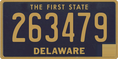 DE license plate 263479