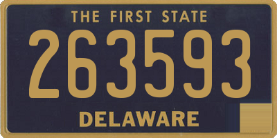 DE license plate 263593