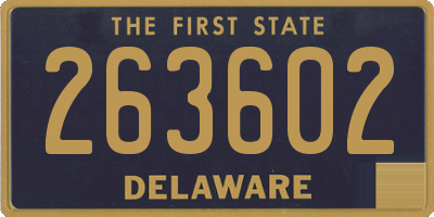 DE license plate 263602