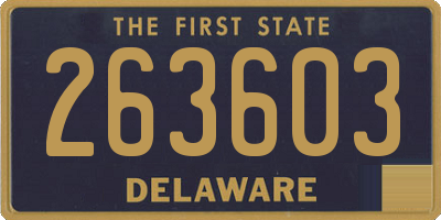 DE license plate 263603