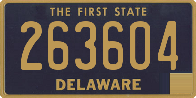 DE license plate 263604