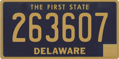 DE license plate 263607