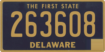 DE license plate 263608